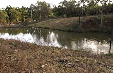 Imagem 10: FAZENDINHA CENTENÁRIA RICA EM ÁGUA À VENDA EM PIRACEMA/MG