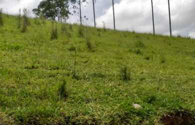 Imagem 1: Lote/Terreno para venda tem 10000 metros quadrados em Moinho I - Nazaré...