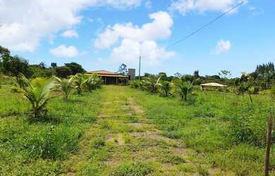 Imagem: A fazenda está localizado em Campinhos, Santo Amaro à venda