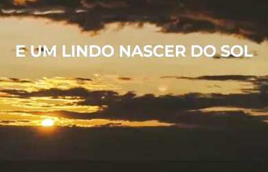 Imagem 2: Vendo área de 110.000m2 toda murada perto da Go-060