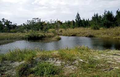 Imagem 5: Mil metros quadrados Citiados em zona rural da cidade itanagra