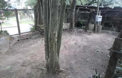 Imagem 14: PORTO ALEGRE - Terreno Padrão - Rubem Berta