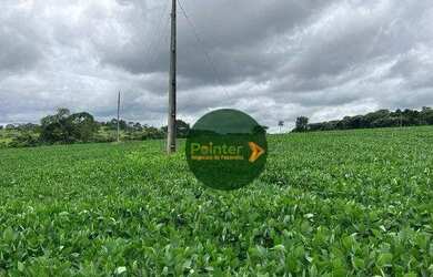 Imagem 10: Fazenda à venda, 16940000 m² por R$ 3.850.000 - Zona Rural - Uruaçu/GO