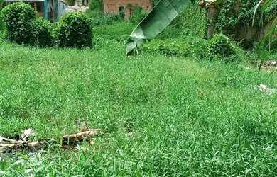 Imagem: O terreno possui 150m² de Área e está localizado em Colônia