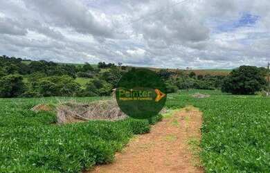 Imagem 8: Fazenda à venda, 16940000 m² por R$ 3.850.000 - Zona Rural - Uruaçu/GO