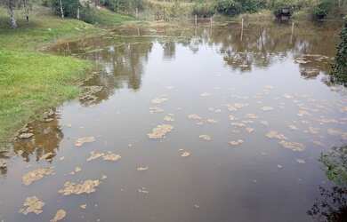 Imagem 3: 297 mil reais lagoa casa piscina internet 1 alq paulista