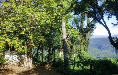 Imagem 7: Sitio - Bairro Santa Terezinha