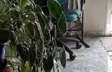 Imagem 13: Casa com 3 dormitórios à venda, 78 m² por R$ 580.000,00 - Vista Alegre...