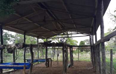 Imagem 4: Vende-se uma excelente fazenda de 226 hectares