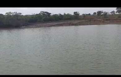 Imagem 2: Oportunidade Vende-se uma excelente fazenda de 2000 hectares