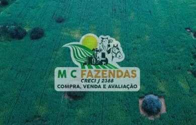 Imagem: A fazenda possui 895.000m² de Área, Imóvel novo e está