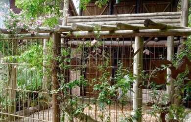 Imagem 4: Casa - Alto Arroio. Varanda, 40m² de Área, 1 Vaga na garageme1 Dormitório