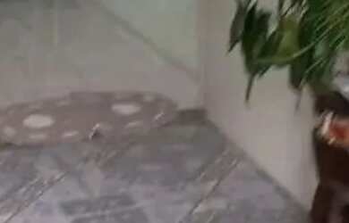 Imagem 8: Casa com 3 dormitórios à venda, 78 m² por R$ 580.000,00 - Vista Alegre...