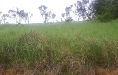 Imagem: O terreno possui 217m² de Área e está localizado em Aroeira