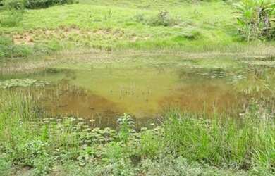 Imagem 9: Vendo ótima fazenda. 