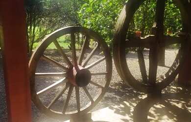 Imagem 15: Chácara Sítio. 30000m² de Área