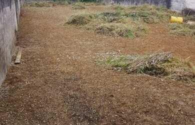 Imagem 5: Terreno Jardim Shangrilá