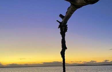 Imagem 6: Alugo casa pra temporada Figueira Distrito Arraial do Cabo