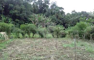 Imagem 13: Chácara para Venda - Horto Florestal