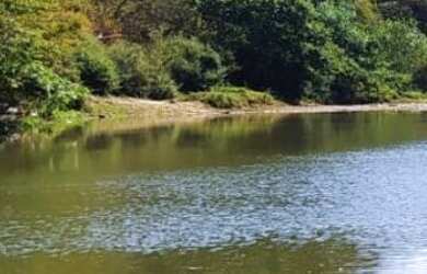 Imagem 1: VENDO FAZENDA DE 10 ALQUEIRES NO MUNICÍPIO DE GOIÁS VELHO