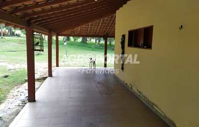 Imagem 2: Fazenda no Pará - São Miguel do Guamá - 260 ha 53 alq