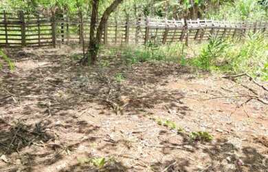 Imagem 10: Chácara Residencial Luana Parque Goiânia/GO