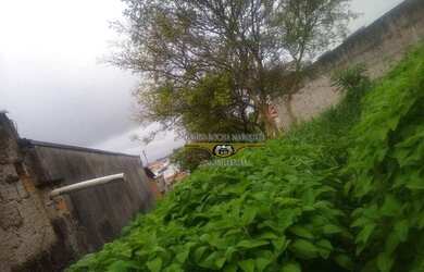 Imagem 4: Terreno à venda, 250 m² por R$ 450.000,00 - Jardim Vila Formosa - São...