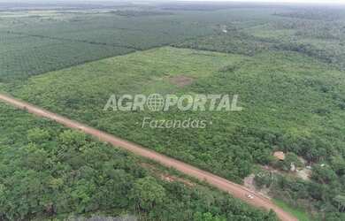 Imagem: A fazenda possui 560.000m² de Área e está localizado em