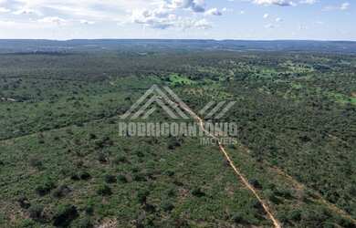 Imagem: A fazenda está localizado em São João da Ponte, MG à venda