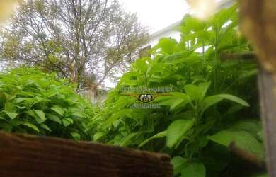 Imagem 5: Terreno à venda, 250 m² por R$ 450.000,00 - Jardim Vila Formosa - São...