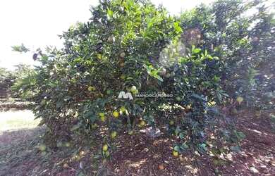 Imagem 6: Sítio com 2 dormitórios à venda, 447700 m² por R$ 4.070.000,00 - Zona...