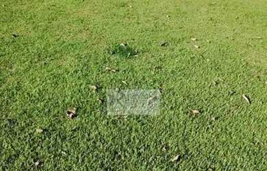 Imagem: O terreno está localizado em Vivendas do Arvoredo, Londrina