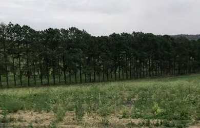 Imagem 3: Lote/Terreno para venda tem 500 metros quadrados em Nova Cerejeira - Atibaia...