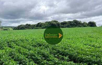 Imagem 4: Fazenda à venda, 16940000 m² por R$ 3.850.000 - Zona Rural - Uruaçu/GO