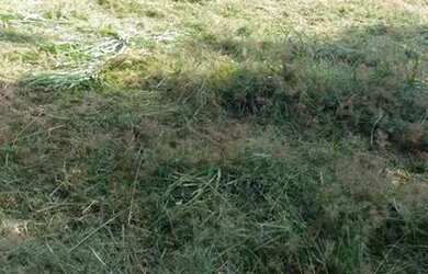 Imagem 1: Terreno. 45m² de Área