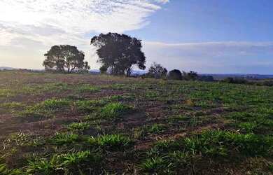 Imagem 12: Lote/Terreno para venda tem 500 metros quadrados em Usina - Atibaia -...