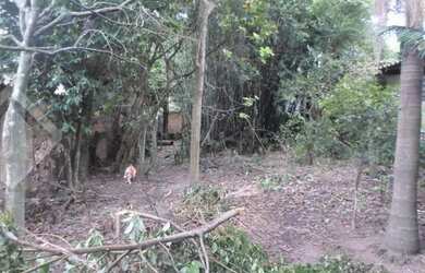 Imagem 12: PORTO ALEGRE - Terreno Padrão - Rubem Berta