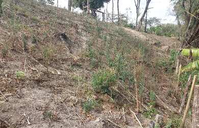 Imagem: A chácara possui 1.000m² de Área e está localizado em Areias