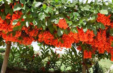 Imagem: A fazenda está localizado em Uberlândia, MG à venda por R$10.000.000