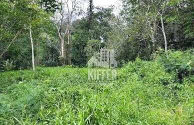 Imagem 11: Terreno à venda, 2091 m² por R$ 240.000,00 - Pendotiba - Niterói/RJ