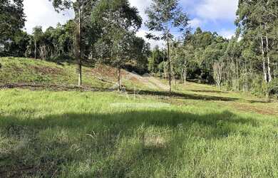 Imagem 15: Área de terra de 27,9 ha com vista panorâmica à venda em Nova Petrópolis na Serra Gaúcha