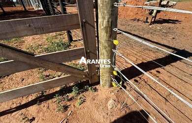 Imagem 4: Fazenda com 20 HECTARES à venda na área rural de Uberlândia