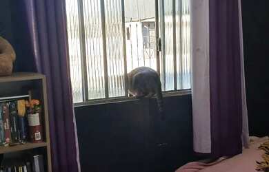 Imagem 11: Casa na Fazenda, quero trocar por chacara no mesmo valor da minha casa