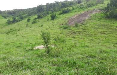 Imagem 8: Vendo ótima fazenda. 