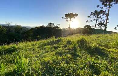 Imagem 5: Terreno de 6 hectare em Urubici