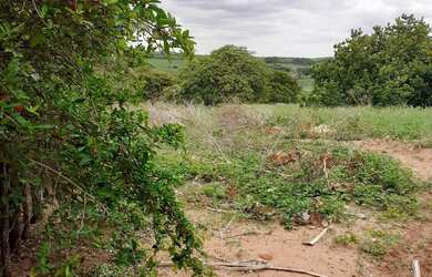 Imagem 4: Terreno a venda. 