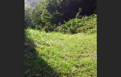 Imagem 9: Lote/Terreno para venda possui 600 metros quadrados em Freguesia Jacarepaguá...