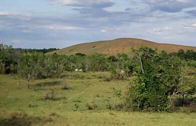 Imagem 3: Fazenda no Amajari