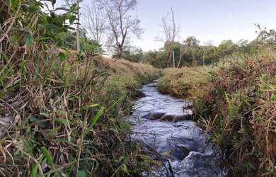 Imagem 14: FAZENDINHA CENTENÁRIA RICA EM ÁGUA À VENDA EM PIRACEMA/MG