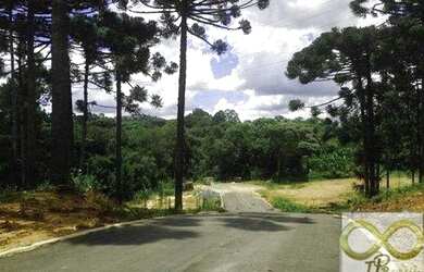 Imagem 9: Curitiba - Loja/Salão - Taboão